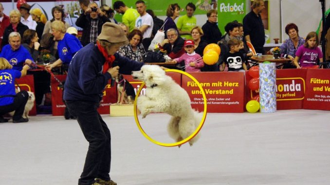 Die Heimtiermesse lockt mit Erlebnissen für Tier und Halter. Foto: PR