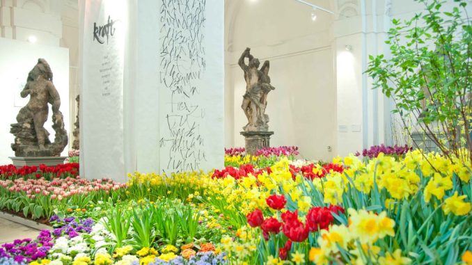 Die Ausstellung im Palais im Großen Garten ist ein Genuss fürs Auge, nicht nur für Blumenfreunde. Foto: PR