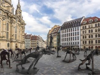 Die Wolfsskulpturen sind ab Mittwoch auf dem Neumarkt zu sehen. Foto: Bildmontage/PR