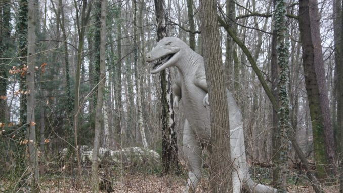 Auf eine spannende Spurensuche führt die Anlage in Kleinwelka in die Urzeit: zu den Dinosauriern. Foto: F. Sommer
