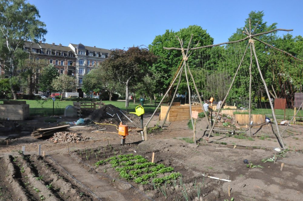 Dresdner Tag der Stadtnatur DAWO! Dresden am Wochenende