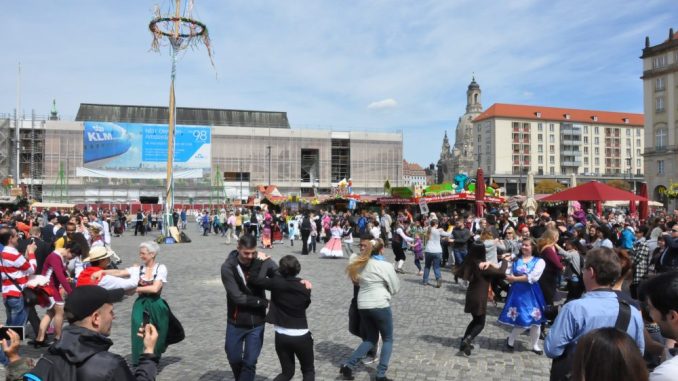 Der Maibaum wird traditionell zur Eröffnung des Frühjahrsmarktes auf dem Dresdner Altmarkt gesetzt. Foto: Una Giesecke