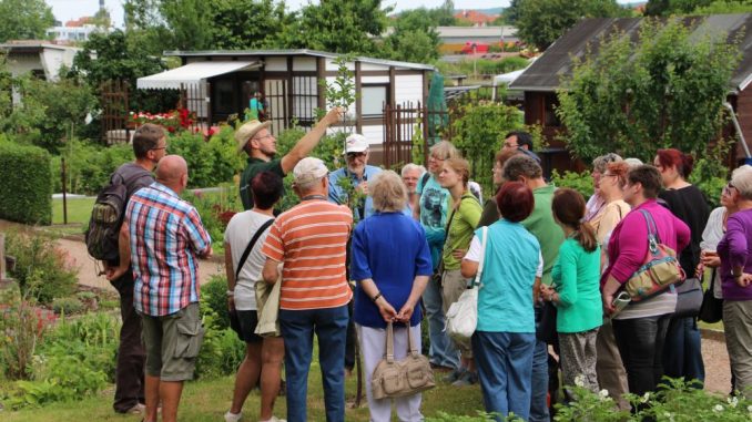 Die Ausbildung zum Fachberater ist unter Gartenfreunden beliebt. Foto: Verena Andreas