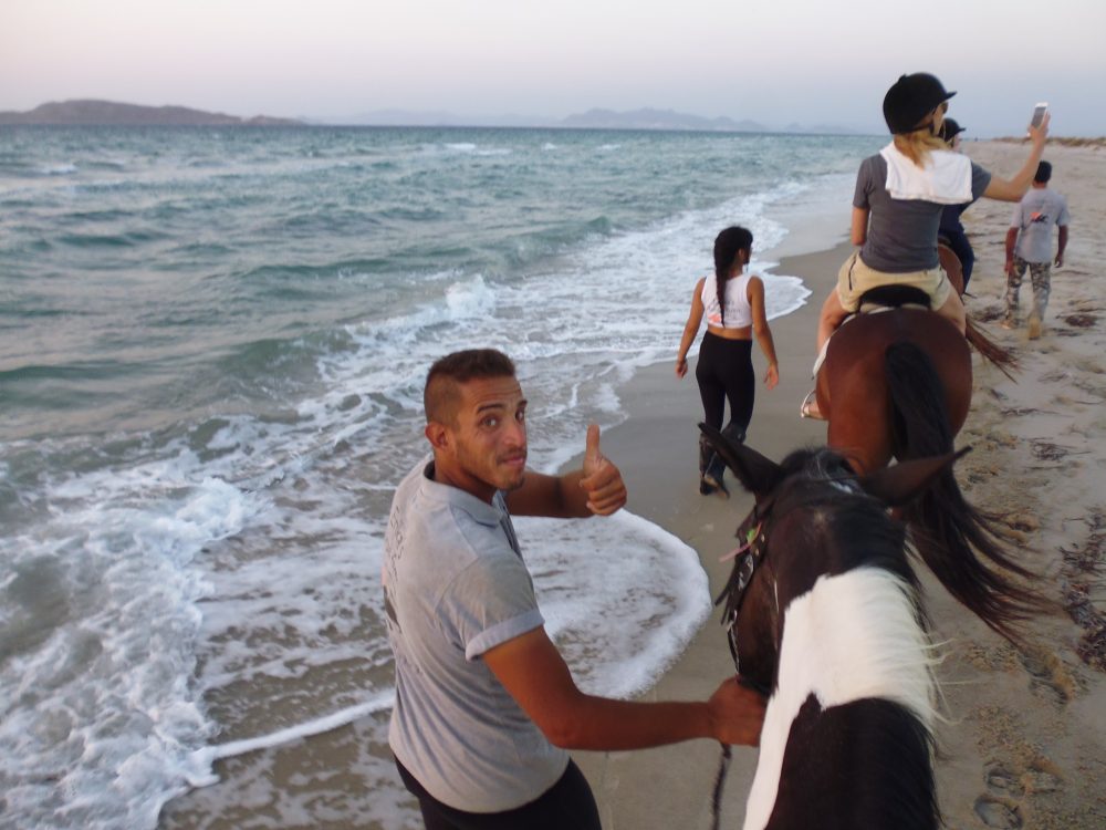 Hoch zu Ross am Meeresufer der griechischen Insel Kos Foto: Kornelia Doren 