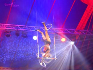 25. Jubiläum des Dresdner Weihnachts-Circus erneut verschoben