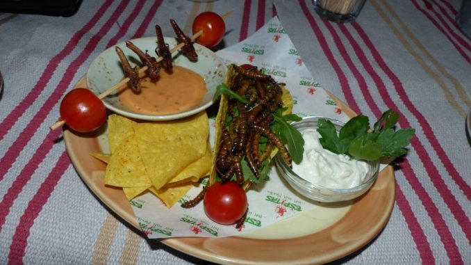 Bei den „Dias de Insectos“ kann man ganz neue kulinarische Erfahrungen machen. Foto: Medienkontor