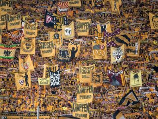 Dresdens Fans unterstützen ihr Team. Foto: Thomas Eisenhuth/Archiv
