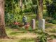 Partnergräber im grünen Band. Foto: Eigenbetrieb Städtisches Friedhofs- und Bestattungswesen