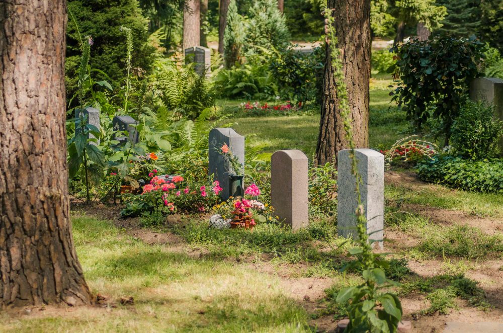 Partnergräber im grünen Band. Foto: Eigenbetrieb Städtisches Friedhofs- und Bestattungswesen
