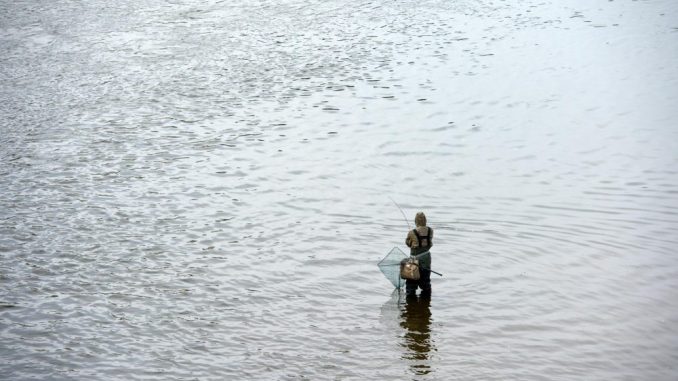 Ein Angler steht in einem Gewässer. Foto: Arno Burgi/Archiv