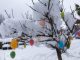 Schnee liegt auf einem mit Ostereiern geschmückten Baum. Foto: Bernd März