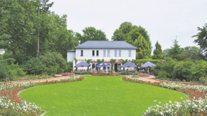 Der Rosengarten ist bei Dresdnern beliebt. Foto:Wolf
