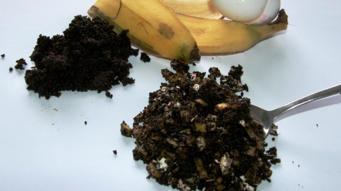 Bananenschalen, Eierschalen und Kaffeesatz können prima als Pflanzendünger verwendet werden. Foto: Jörg Hennig