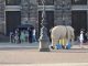 Eine Elefantenfigur wird über den Theaterplatz gezogen - sie gehört zum Theaterstück der Bürgerbühne "Die Stunde da wir nichts voneinander wußten". Foto: Una Giesecke