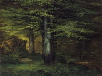 Ernst Ferdinand Oehme, Waldinneres, 1822, Öl auf Leinwand; 40 x 47,5 cm, Galerie Neue Meister, Copyright: SKD, Foto: Jürgen Karpinski