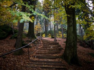 Nationalpark Sächsische Schweiz weiterhin gesperrt