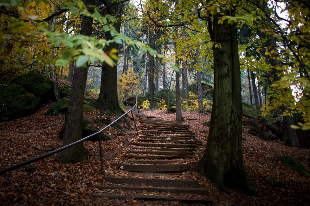 Nationalpark Sächsische Schweiz weiterhin gesperrt