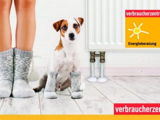 Energieberatung der Verbrauscherzentrale zum Weltverbrauchertag (Foto: Gladskikh Tatiana /Marcel Derweduwen, Shutterstock.com)