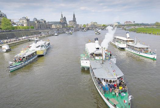 Jedes Jahr ein Höhepunkt: Die Flottenparade der Dampfer auf der Elbe Foto: SZ / Christian Juppe