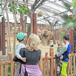 ZOOgeflüster: Das neue Afrikahaus im Zoo Dresden wurde im April 2018 eröffnet und begrüßt seine Bewohner sowie erste Besucher. (Foto: Zoo Dresden)
