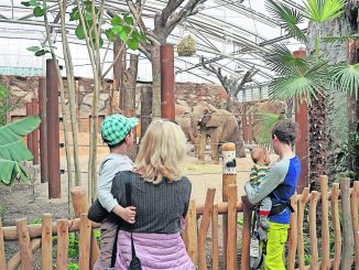 ZOOgeflüster: Das neue Afrikahaus im Zoo Dresden wurde im April 2018 eröffnet und begrüßt seine Bewohner sowie erste Besucher. (Foto: Zoo Dresden)