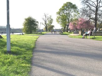 Auch der Elberadweg dient zum Radfahren, auf der Parkbank Sitzen, Spazieren Gehen und ausruhen. Dresden im Frühling. (Foto: DAWO! /jz)