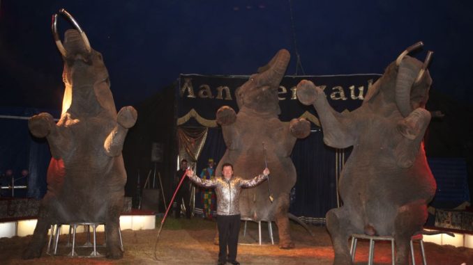 Dresseur Hardy Weisheit mit seinen Elefanten. Foto: PR