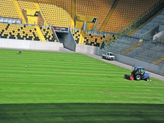 Kein „englischer“ Rasen, sondern einer aus Mecklenburg liegt jetzt im DDV-Stadion.