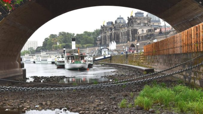 Niedriger Stand der Elbe macht auch der Sächsischen Dampfschiffahrt zu schaffen. (Foto: Juliane Zönnchen)