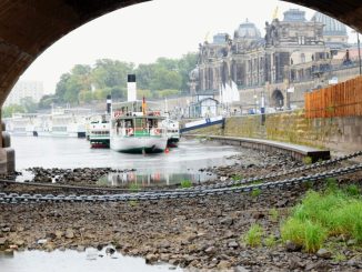 Der niedrige Wasserstand der Elbe lässt auch in diesem Juli die Schiffe der Sächsischen Damfschiffahrt zum Teil ruhen. (Foto: Juliane Zönnchen)
