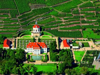 Schloss Wackerbarth lädt zum Tag des offenen Weingutes. Foto: PR