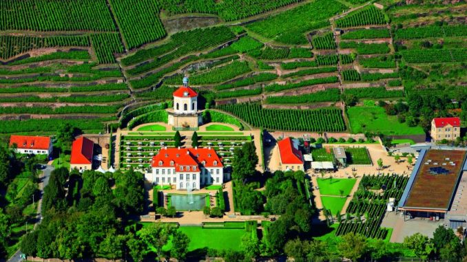 Schloss Wackerbarth lädt zum Tag des offenen Weingutes. Foto: PR