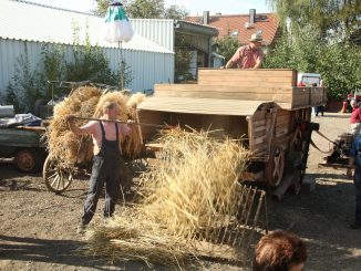Der Bauernhof Marcus K&uuml;hne l&auml;dt am 09. September zum Erntefest ein. // Foto: Archiv