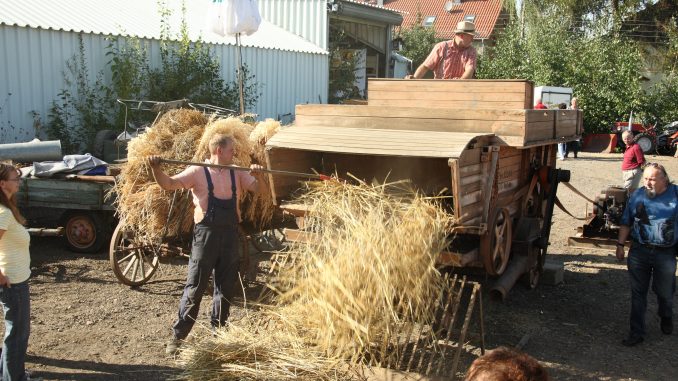Der Bauernhof Marcus Kühne lädt am 09. September zum Erntefest ein. // Foto: Archiv