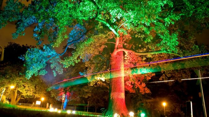 Die Lichterfahrten der Parkeisenbahn lassen den Großen Garten in einem tollen Licht erstrahlen. Foto: PR
