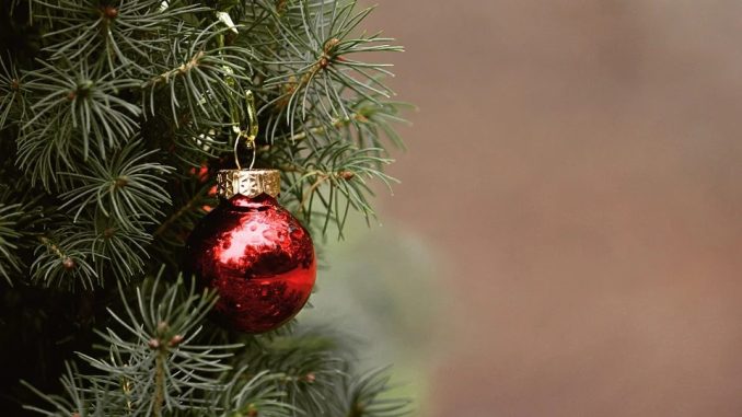 Hier können Sie Ihren Weihnachtsbaum entsorgen