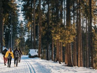 Wandern im Winterwald Bildquelle: Lukas Bierie via pixabay