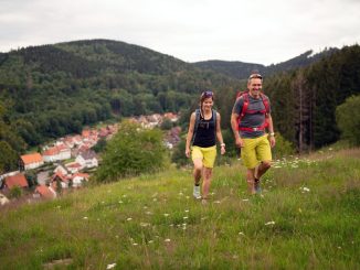 Nachhaltige Wandertouren im Harz