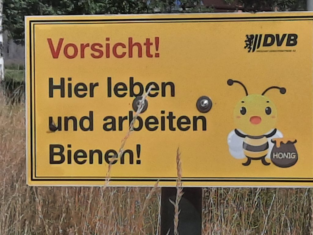 DVB Bienen Gras