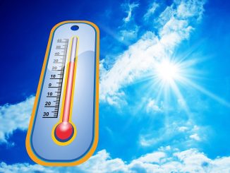 Klima Wetter Hitze Dresden Bilanz 2022