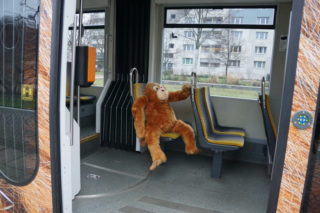 Zoo Straßenbahn