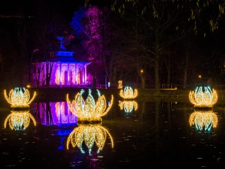 ChristmasGarden Pillnitz