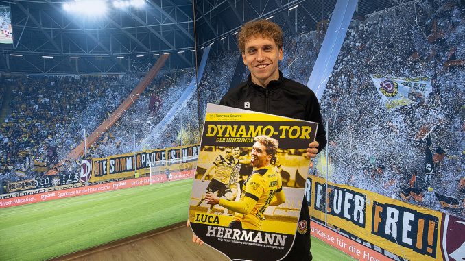 Luca Herrmann Dynamo Dresden
