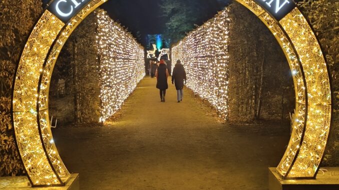 Christmas Garden