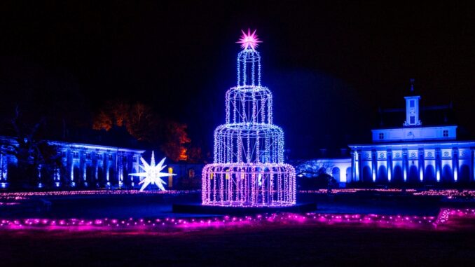 Christmas Garden