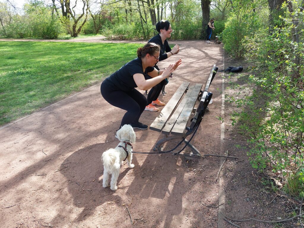 In Bewegung mit Hund