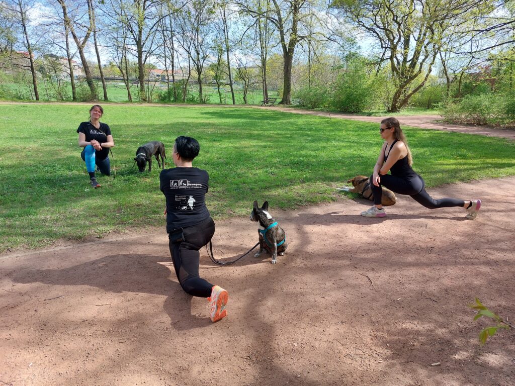 In Bewegung mit Hund