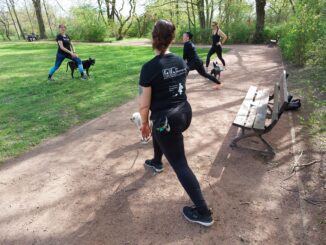 In Bewegung mit Hund