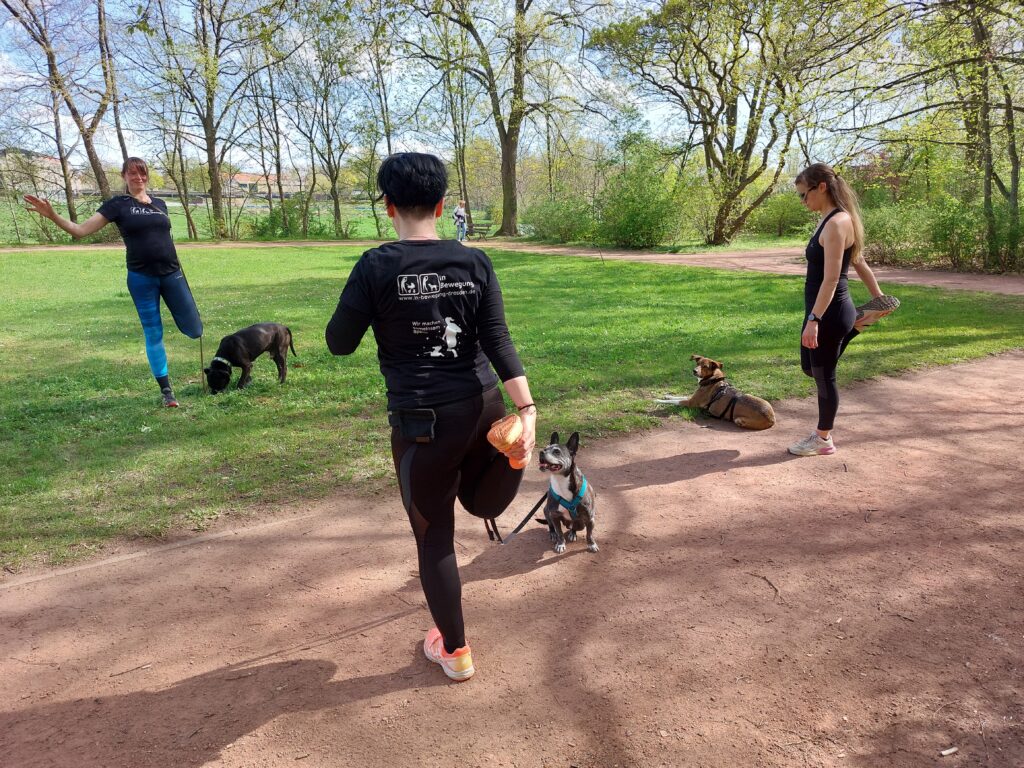In Bewegung mit Hund