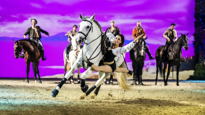 beeindruckende Akrobatik (Foto: PR)